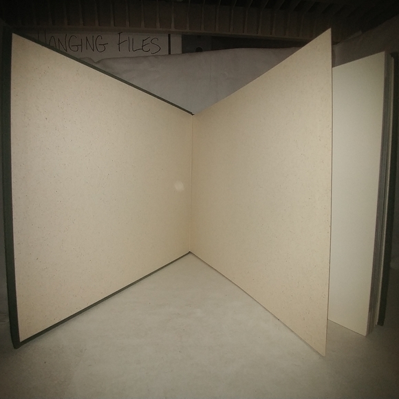 Serengeti: Natural Order on the African Plain by M - Picture 3 of 10